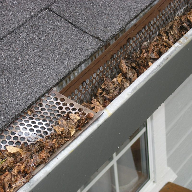 gutter-guard-ipswich-2434467_1280